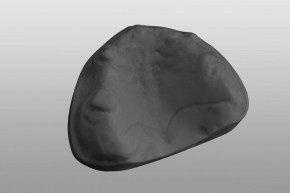 Study-Model upper jaw Z7 grey